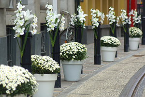 Dirk Coopman Architect Brabantdam winkelstraat stedenbouw urban planning publieke ruimte