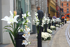 Dirk Coopman Architect Brabantdam winkelstraat stedenbouw urban planning publieke ruimte