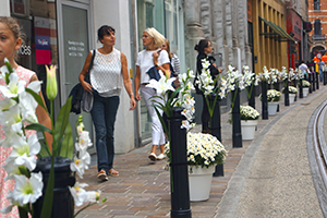 Dirk Coopman Architect Brabantdam winkelstraat stedenbouw urban planning publieke ruimte